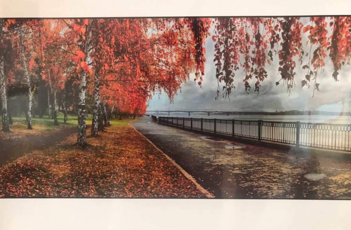 Определены имена победителей фотоконкурса «Осень в садах и парках города Перми» ГБПОУ «ПАПТ»