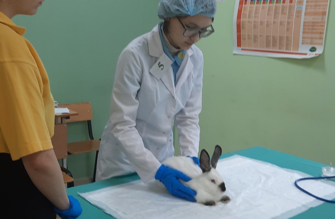 Результаты Региональной  олимпиады по  УГС 36.00.00. «Ветеринария и зоотехния»
